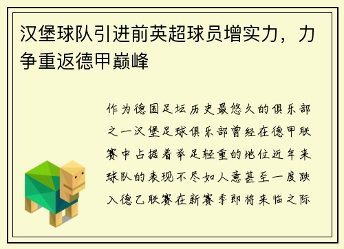 汉堡球队引进前英超球员增实力，力争重返德甲巅峰