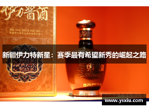 新疆伊力特新星：赛季最有希望新秀的崛起之路