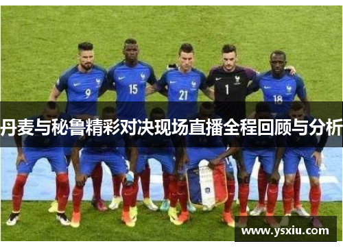 丹麦与秘鲁精彩对决现场直播全程回顾与分析